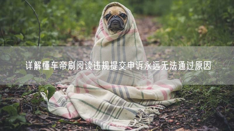 详解懂车帝刷阅读违规提交申诉永远无法通过原因