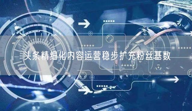 头条精细化内容运营稳步扩充粉丝基数
