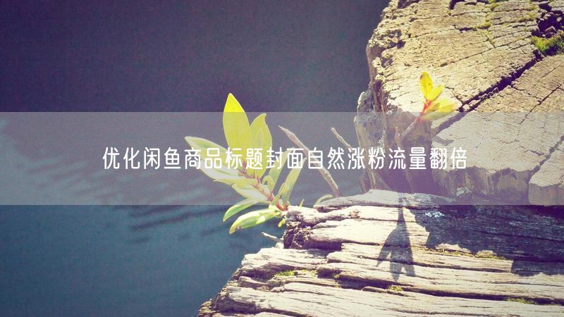 优化闲鱼商品标题封面自然涨粉流量翻倍