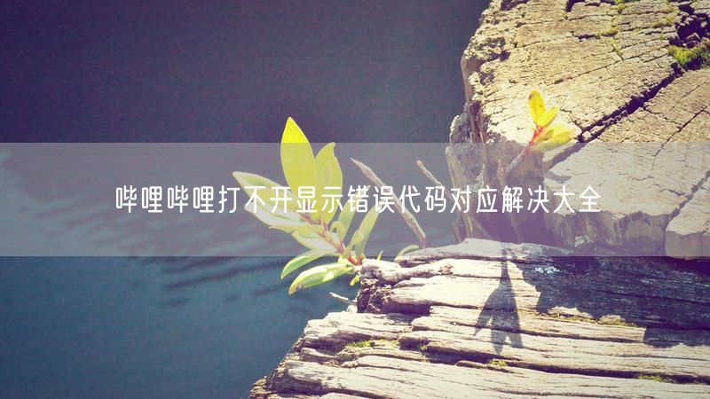 哔哩哔哩打不开显示错误代码对应解决大全