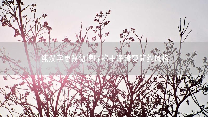 纯汉字更改微博昵称干净清爽简约风格