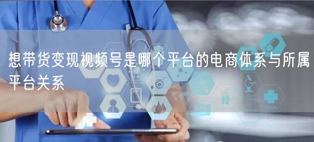 想带货变现视频号是哪个平台的电商体系与所属平台关系