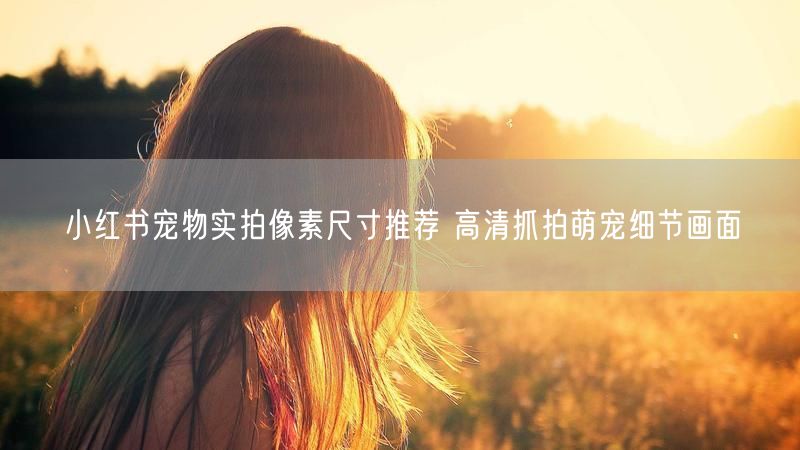 小红书宠物实拍像素尺寸推荐 高清抓拍萌宠细节画面