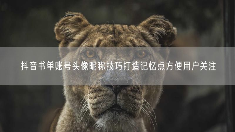 抖音书单账号头像昵称技巧打造记忆点方便用户关注