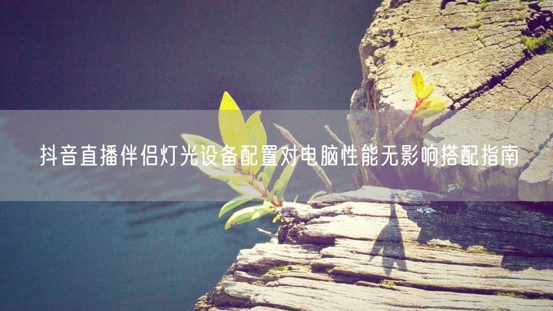 抖音直播伴侣灯光设备配置对电脑性能无影响搭配指南