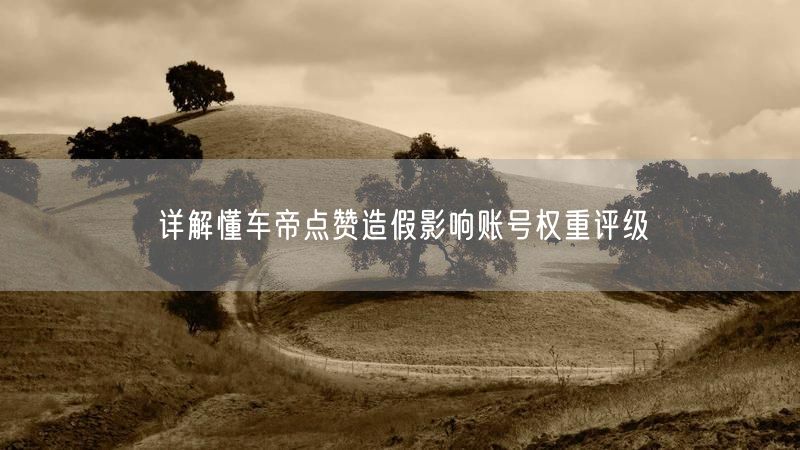详解懂车帝点赞造假影响账号权重评级