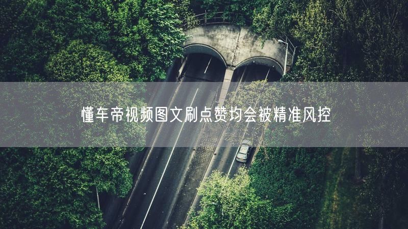 懂车帝视频图文刷点赞均会被精准风控