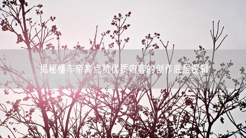 揭秘懂车帝高点赞优质内容的创作底层逻辑