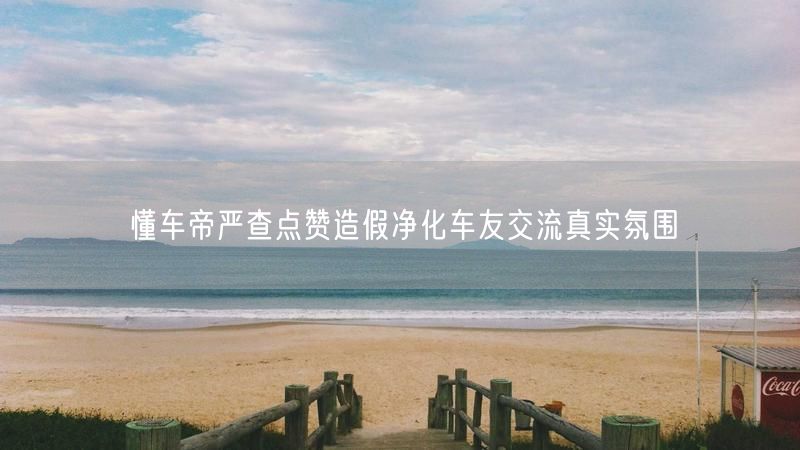 懂车帝严查点赞造假净化车友交流真实氛围