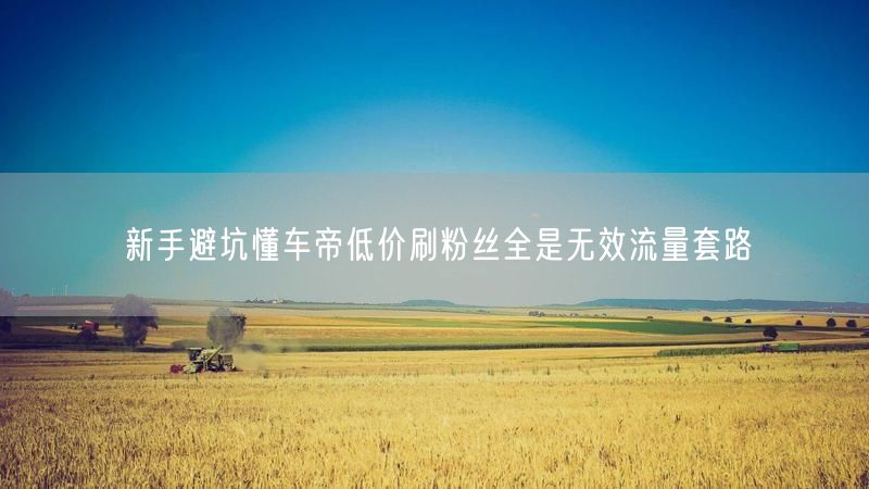 新手避坑懂车帝低价刷粉丝全是无效流量套路
