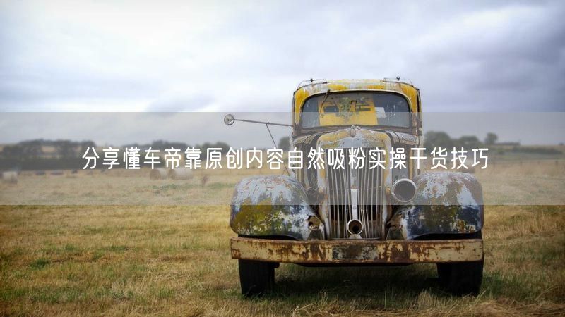分享懂车帝靠原创内容自然吸粉实操干货技巧