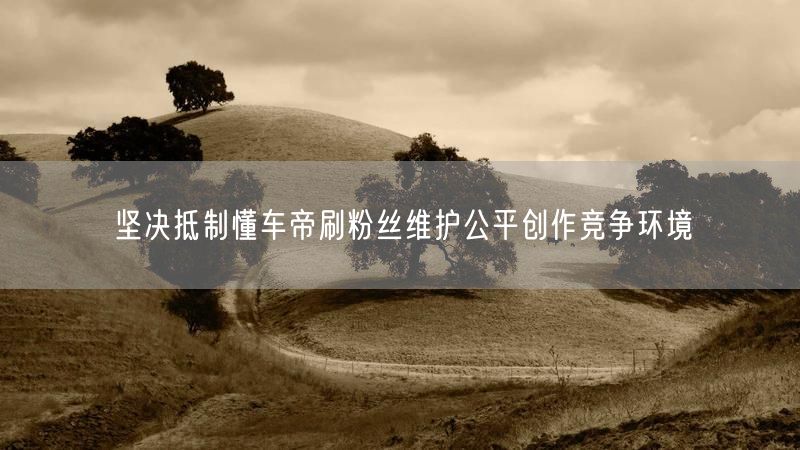 坚决抵制懂车帝刷粉丝维护公平创作竞争环境