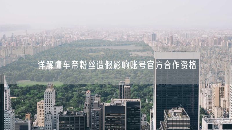详解懂车帝粉丝造假影响账号官方合作资格