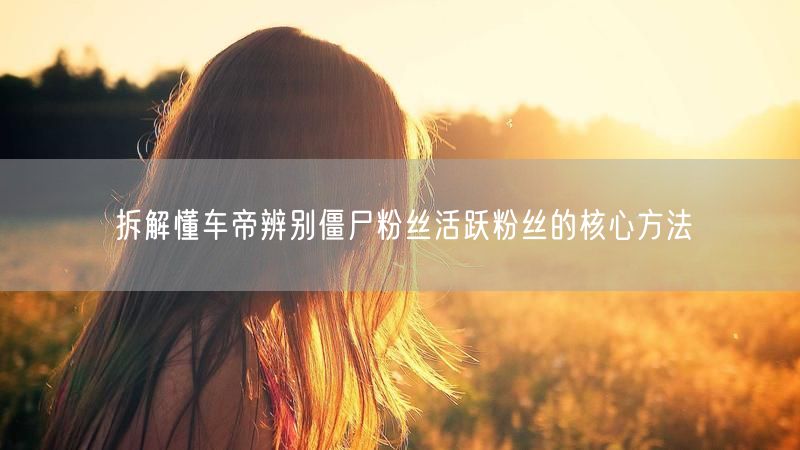 拆解懂车帝辨别僵尸粉丝活跃粉丝的核心方法