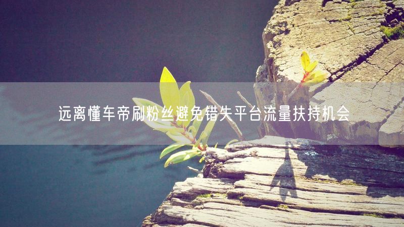 远离懂车帝刷粉丝避免错失平台流量扶持机会