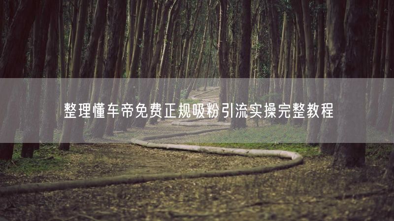 整理懂车帝免费正规吸粉引流实操完整教程