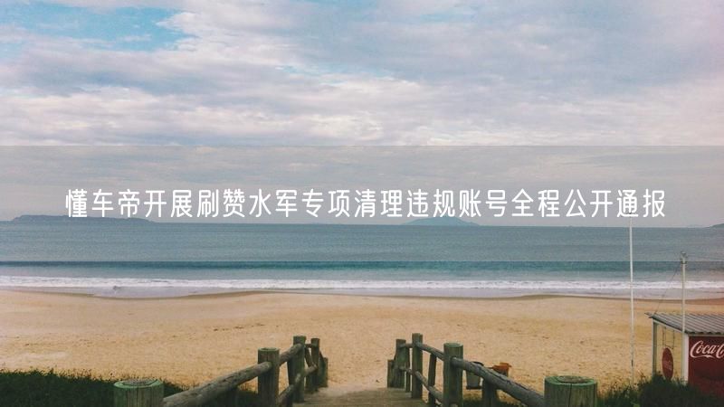 懂车帝开展刷赞水军专项清理违规账号全程公开通报