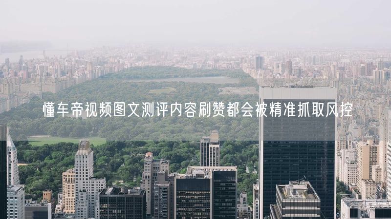 懂车帝视频图文测评内容刷赞都会被精准抓取风控