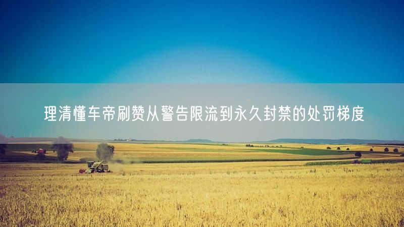 理清懂车帝刷赞从警告限流到永久封禁的处罚梯度