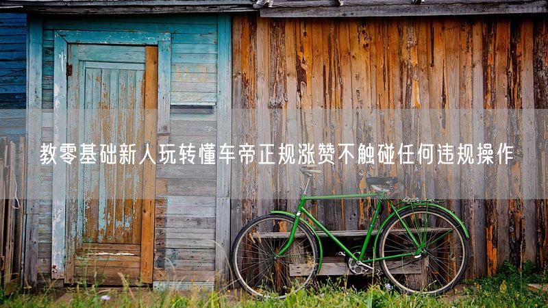 教零基础新人玩转懂车帝正规涨赞不触碰任何违规操作