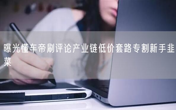曝光懂车帝刷评论产业链低价套路专割新手韭菜
