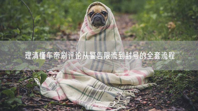 理清懂车帝刷评论从警告限流到封号的全套流程