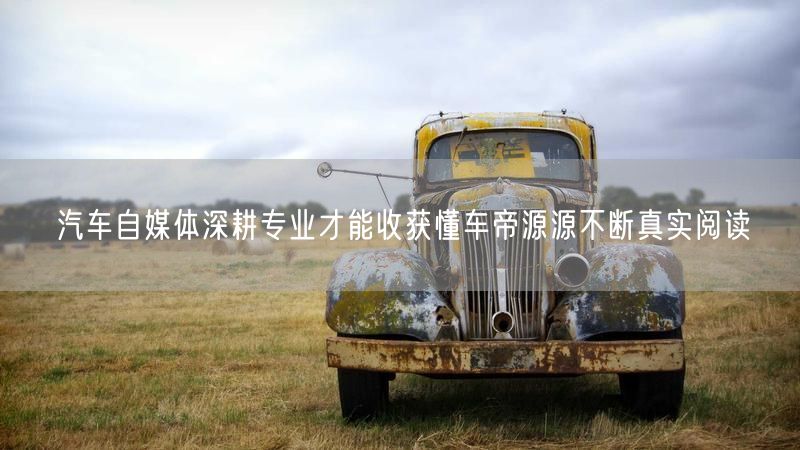 汽车自媒体深耕专业才能收获懂车帝源源不断真实阅读