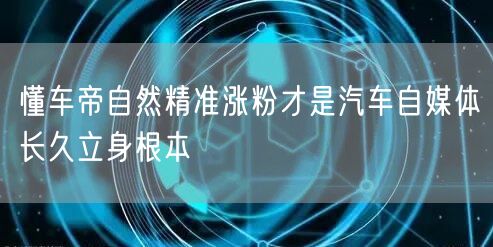 懂车帝自然精准涨粉才是汽车自媒体长久立身根本