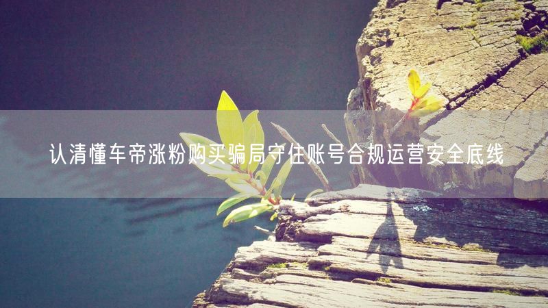 认清懂车帝涨粉购买骗局守住账号合规运营安全底线