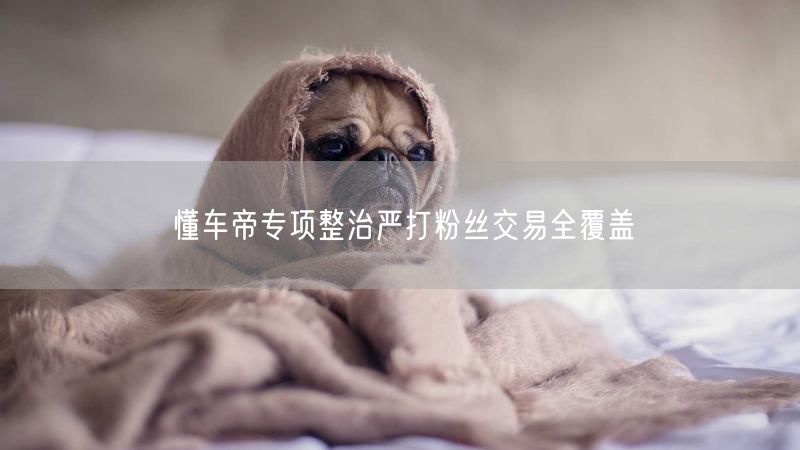 懂车帝专项整治严打粉丝交易全覆盖
