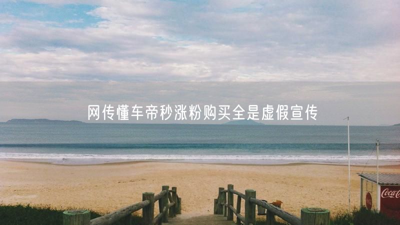 网传懂车帝秒涨粉购买全是虚假宣传