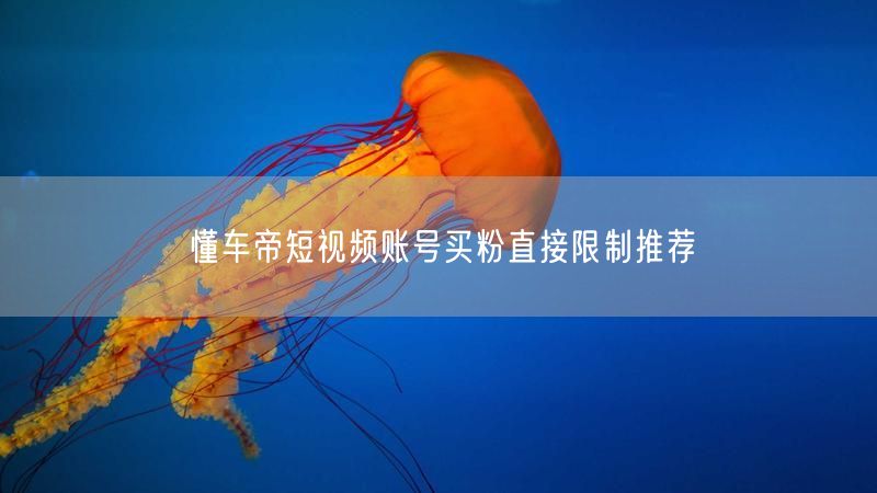 懂车帝短视频账号买粉直接限制推荐