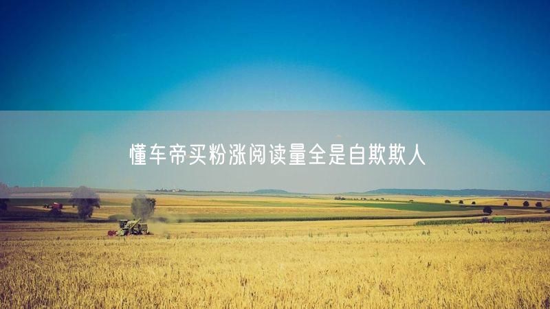 懂车帝买粉涨阅读量全是自欺欺人