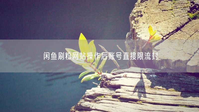 闲鱼刷粉网站操作后账号直接限流封