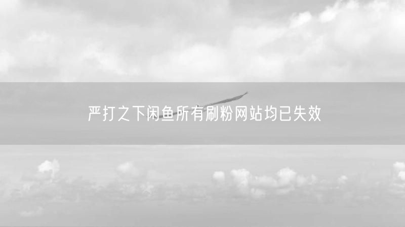 严打之下闲鱼所有刷粉网站均已失效