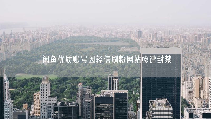 闲鱼优质账号因轻信刷粉网站惨遭封禁