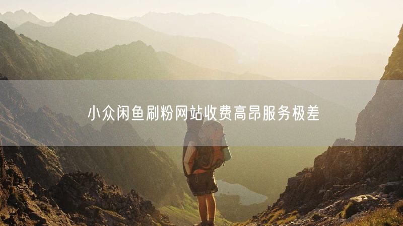 小众闲鱼刷粉网站收费高昂服务极差