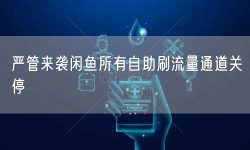 严管来袭闲鱼所有自助刷流量通道关停