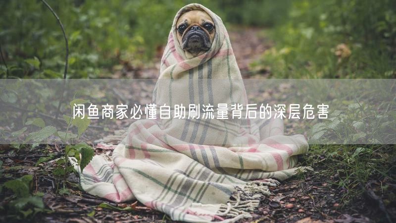 闲鱼商家必懂自助刷流量背后的深层危害