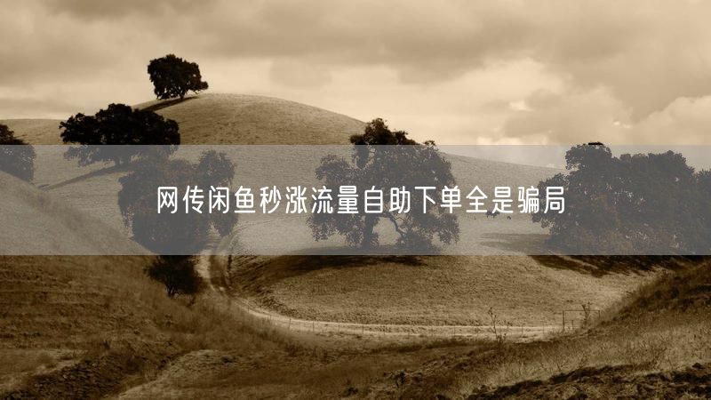 网传闲鱼秒涨流量自助下单全是骗局