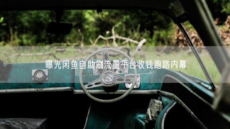 曝光闲鱼自助刷流量平台收钱跑路内幕