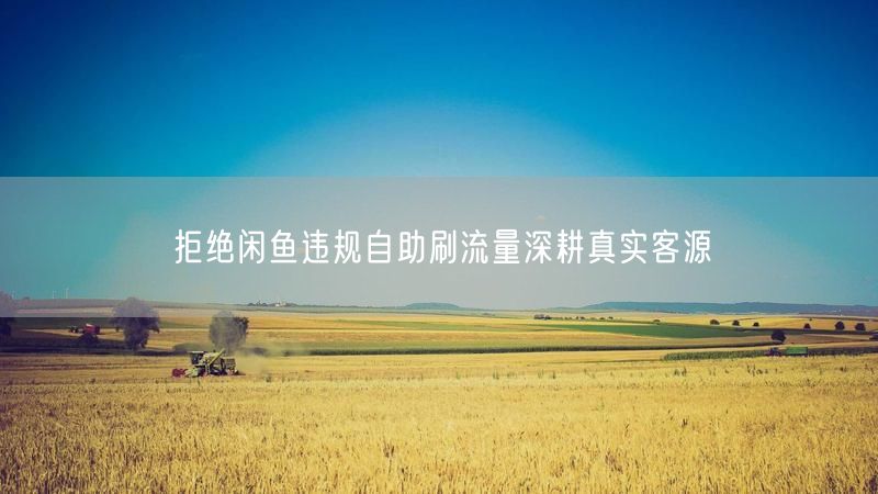 拒绝闲鱼违规自助刷流量深耕真实客源