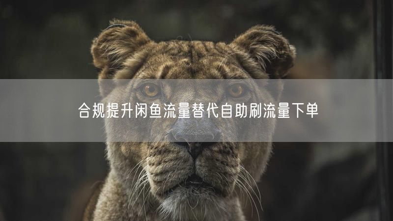 合规提升闲鱼流量替代自助刷流量下单