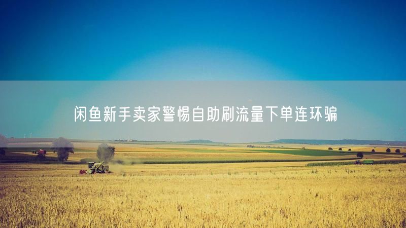 闲鱼新手卖家警惕自助刷流量下单连环骗
